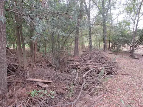 Terreno en Venta de 968,0 m2
