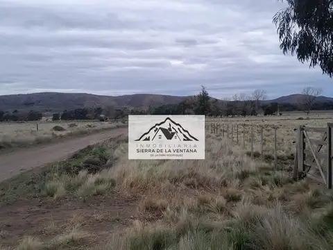 saldungaray  lotes de 1250 mts 100