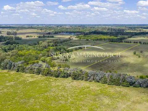 Chacra 6ha en venta con casa a 300 m de Ruta 41 – Mercedes