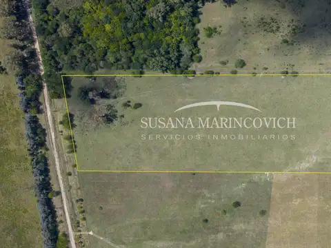Chacra 6ha en venta con casa a 300 m de Ruta 41 – Mercedes