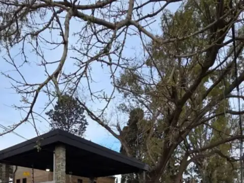 General Pedro Díaz 2700