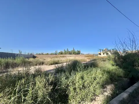 Terreno en Venta de 785,0 m2