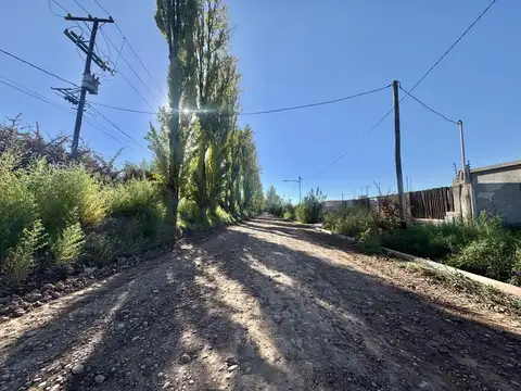 Los peralitos S/N