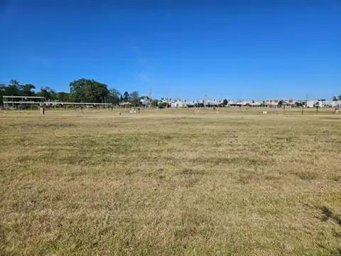 Terreno en Venta de 775,0 m2