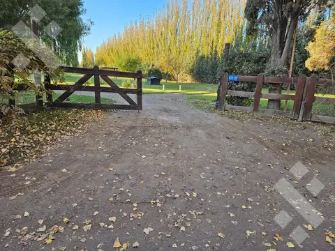 VENTA (EN EXCLUSIVA) PREDIO 2,5 HA. PARA USO INDUSTRIAL  - CIPOLLETTI