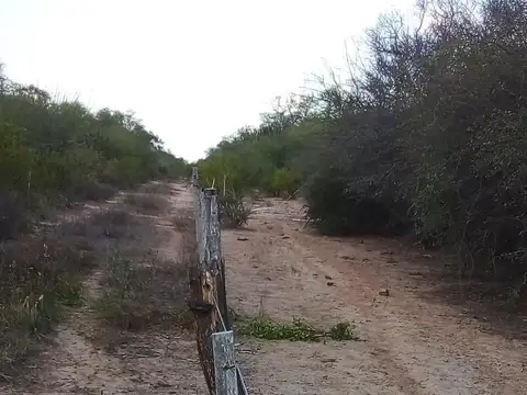 Campo en Bermejo - Pcia. de Formosa