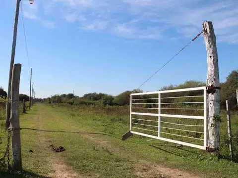 Terreno en Venta de 5000,0 m2