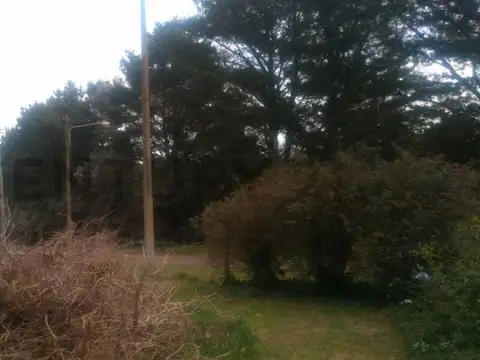 Terreno en Venta 32  mts Fondo