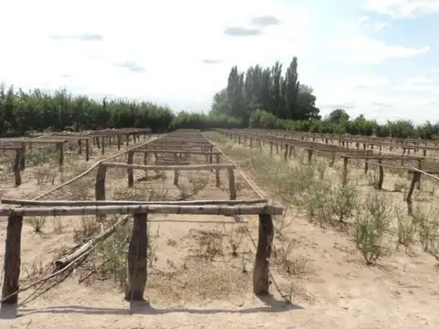 San Rafael de mendoza