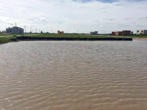 LOTE EN VENTA en Campos de la Enriqueta FRENTE A LA LAGUNA E
