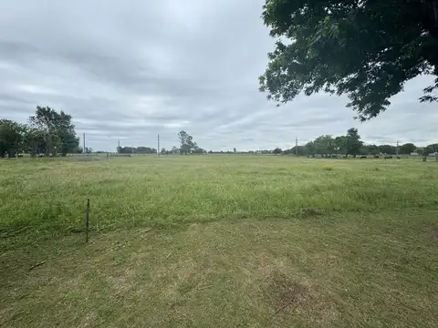 Terreno en Venta en Leandro N Alem, USD 70.000