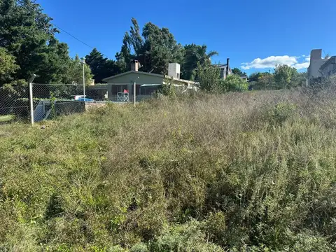 El Benteveo 500