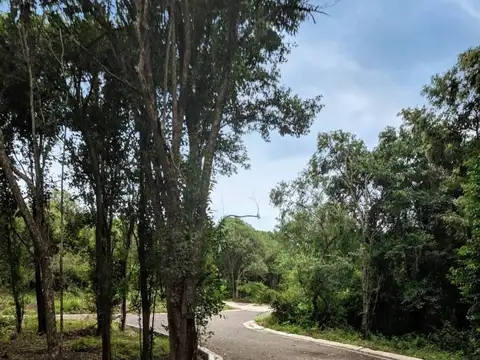 Pablo Strumi , Piso 0