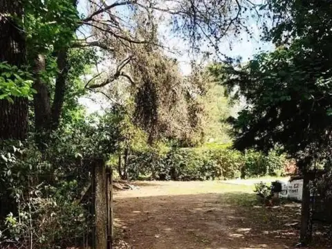 Casa en Venta en Arturo Segui, USD 100.000