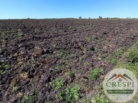 Hermoso campo 43 hectáreas