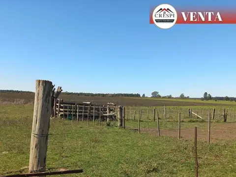 Hermoso campo 43 hectáreas