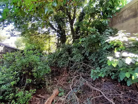 Gral. San Martín céntrico - Lote apto subdivisón en varias unidades!