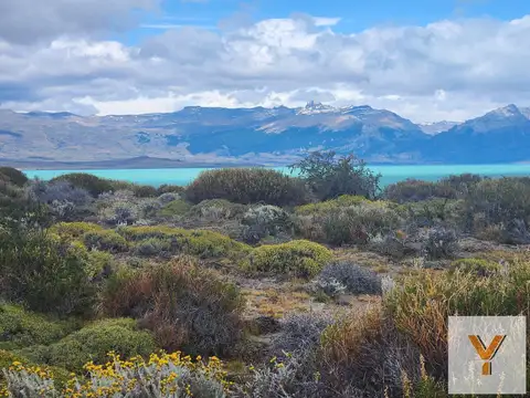 Campo en venta - 893 Hectáreas - Lago San Martín, Tres Lagos, Santa Cruz