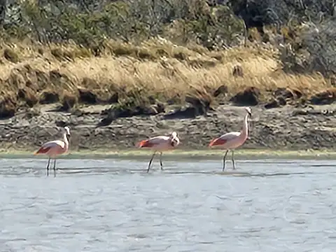 Tres Lagos