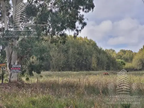 Terreno en Venta en General Lavalle, USD 50.000