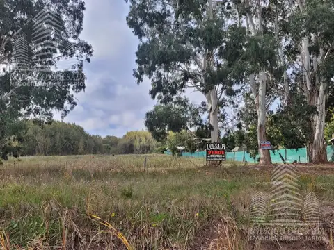 Terreno en  Paraje Pavon