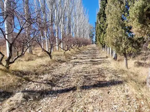 VENTA FINCA 10,8 HAS EN SAN ROQUE JACHAL
