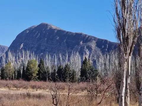 Campo en Venta en San Roque, Jáchal