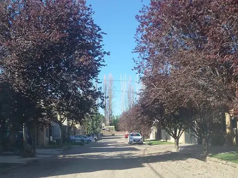 Elpidio González 3700