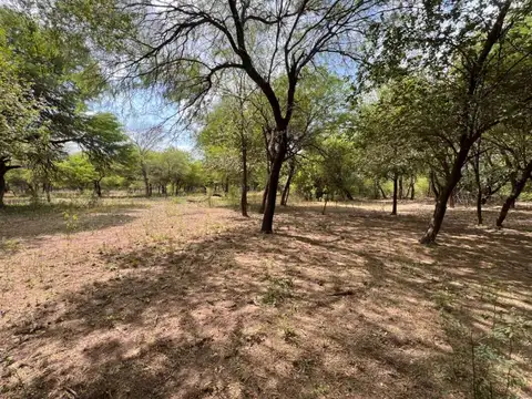 Terreno en Venta de 85550,0 m2