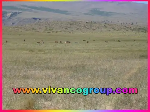 Campo en Venta de 2.700  ha