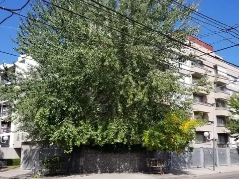 Rodriguez Peña 900
