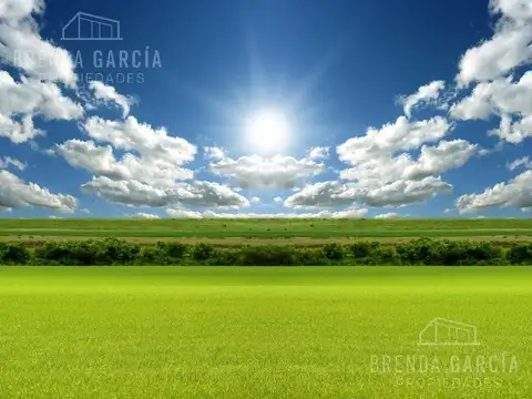 SALTA 267 ENTRE PASO DE LOS ANDES Y ALBERDI