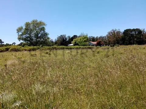 Oficina en Venta en Miramar, USD 9.000