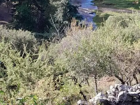 CAÑADA DEL RIO PINTO