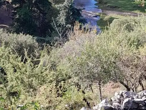CAÑADA DEL RIO PINTO