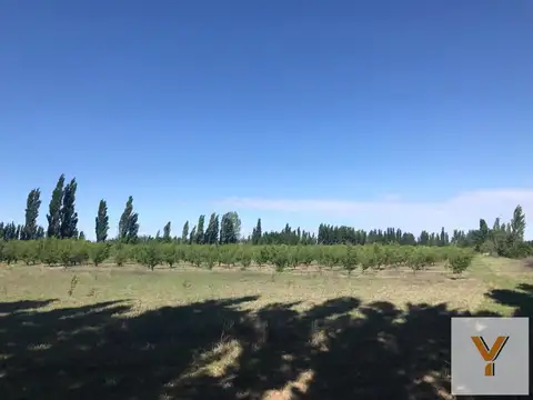 Quinta en Venta en La Escandinava, General Alvear