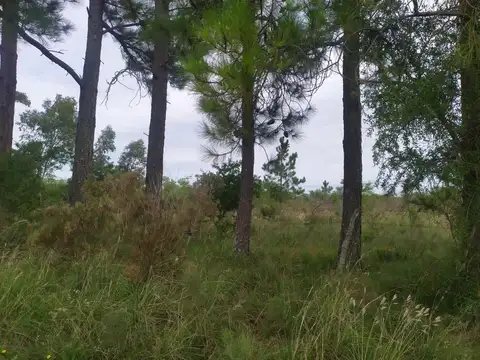 Campo en Venta Chacra