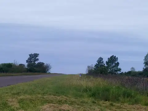 Campo en Venta Chacra