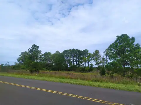 Campo en Venta de 2  ha