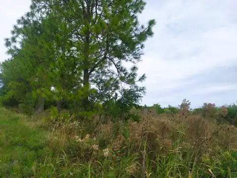 Campo en Venta de 2  ha