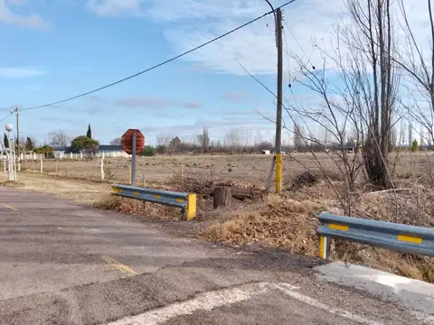 Terreno en Mendoza, General Alvear, Bowen.