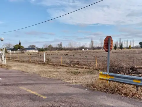 Centenario y Calle 15 100