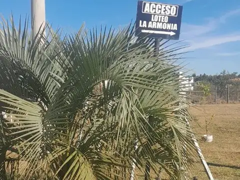 Terreno en Venta en Colonia Carolina, USD 8.500