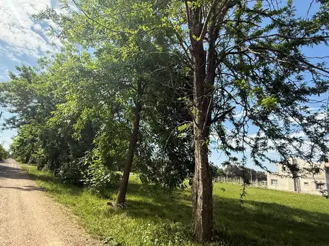 Venta - Lote - en esquina - Parque Sakura II - Exaltación de la Cruz