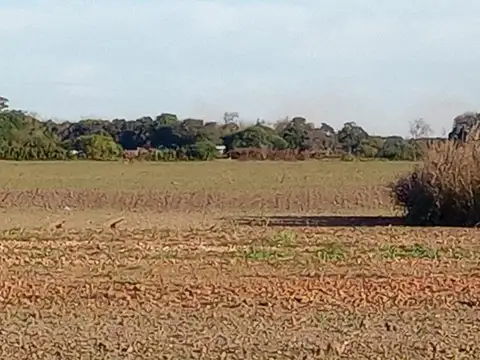 CAMINO 60 CUADRAS KM 12