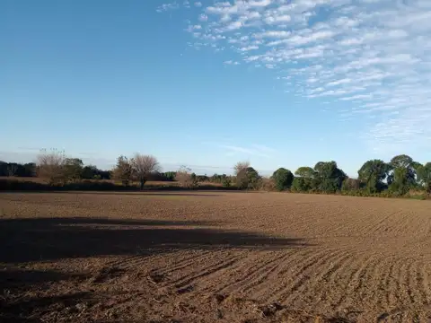 VENTA HECTAREAS CAMINO 60 CUADRAS