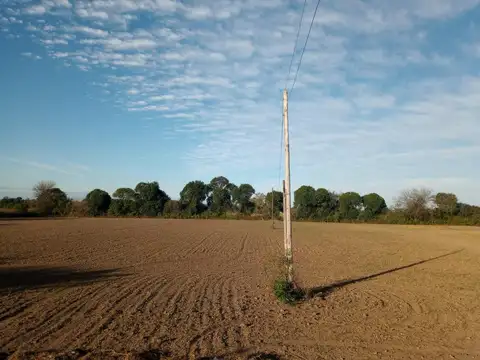 CAMINO 60 CUADRAS KM 12