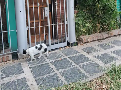 Estanislao Del Campo 3700