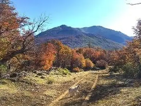 Campo 82 ha - Parque nacional Los Alerces