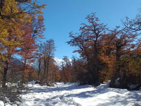 92 ha Trevelin - Chubut - PN Los Alerces